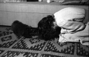 Bukarest: Wohnung Tanase, Maria Tanase, Sängerin, spielt mit Hund