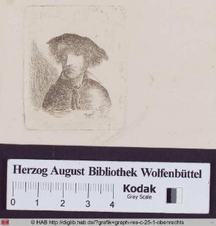 Männliches Brustbildnis mit Kopf im Dreiviertelprofil Profil nach rechts.
