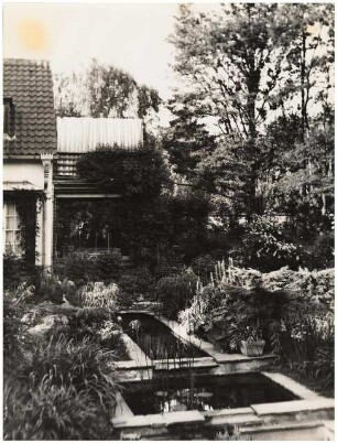 Garten Szafransky: Wasserbecken und Haus