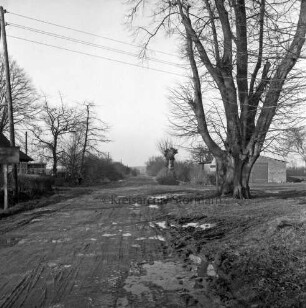 Straße Richtung Bargfeld-Stegen mit Straßenschäden: links Ortsausgangsschild: dahinter Gebäude: rechts Baum: dahinter Wirtschaftsgebäude
