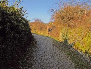 Kreuz am Scheideweg (Wegekreuz); Rüdesheim, Bischofsberg
