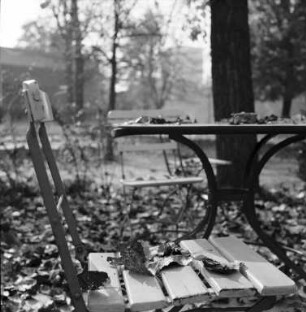 Herbststimmung im Stadtgarten.