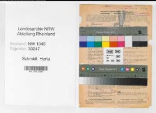 Entnazifizierung Herta Schmidt , geb. 21.02.1900 (Kontoristin)