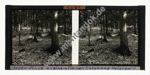 Stollen-Pinge an einem flachen Berghang, Kellerwald bei Bergfreiheit
