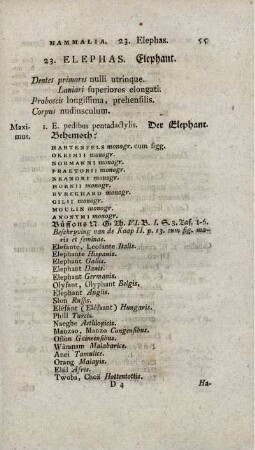 23. ELEPHAS