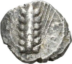 Obol aus Metapont (Lukanien) mit Darstellung einer Kornähre