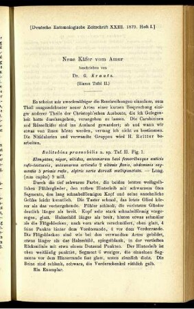 Neue Käfer vom Amur