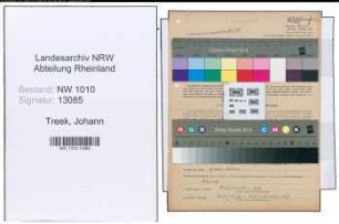 Entnazifizierung Johann Treek , geb. 16.09.1902 (Spediteur)