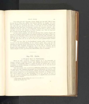 Kap. VII. Skelett.