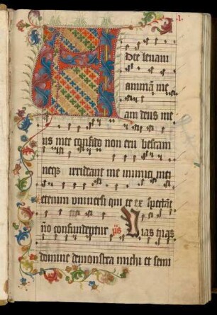 [Graduale monasticum]; Proprium de tempore; per circulum anni