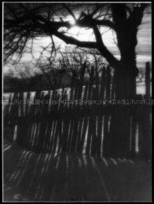 Winterlandschaft