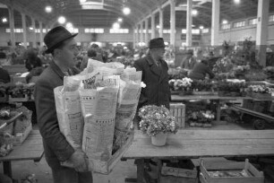 Blumen-Großmarkt in der Markthalle.