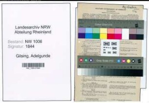 Entnazifizierung Adelgunde Gilsing , geb. 26.06.1906 ()