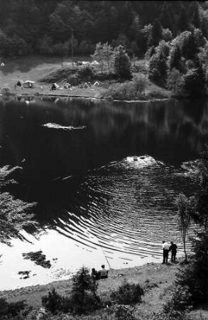 Von oben auf den nonnenmattweiher bei Neuenweg