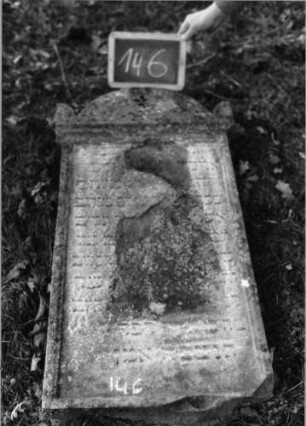 Grabstein 146 (Index: 100090443) Material: Sandstein Zustand: abgeblätt/verwitt. mit großem Textverlust Maße HxBxT: 100x50x12 cm Beschreibung: Stele, Segmentbogenabschluß mit Eckakroteren, rechteckiges Schriftfeld eingetieft: Grabstein 146