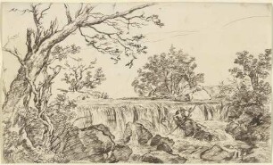 Wasserfall, im Vordergrund ein absterbender Baum