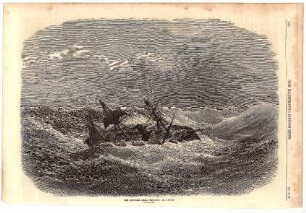The "Crocodile", Indian Troop-Ship in a Storm