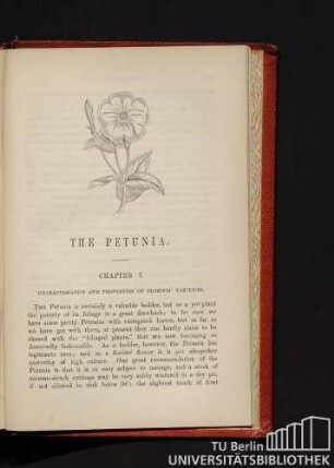Chapter I. Characteristics and properties of florists´ varieties.