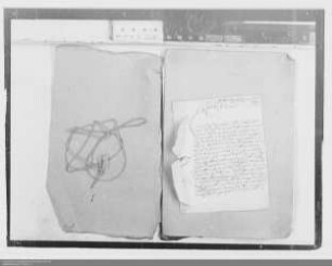 . Berichte der nassauischen Gesandten Franz Melchior und J. H. Saur vom Reichstag zu Regensburg: Band 8