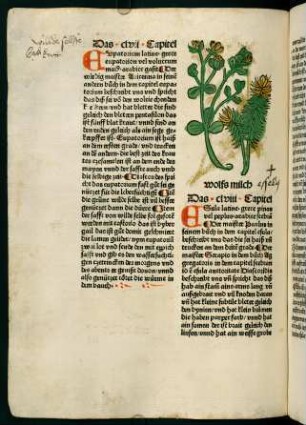90v-91r, Wolfs milch (158. Kapitel)