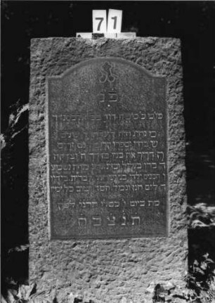 Grabstein 71 (Index: 100084973) Maße HxBxT: 118x60x25 cm Beschreibung: Stele, Schriftplatten mit eingezogenem Rundbogenabschluß Symbolik: Beschneidungsbesteck: Grabstein 71