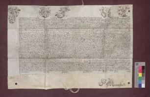 Papst Pius VI. schreibt dem Franz Josef Sigmund von Roggenbach wegen dessen zum Bischof von Basel.