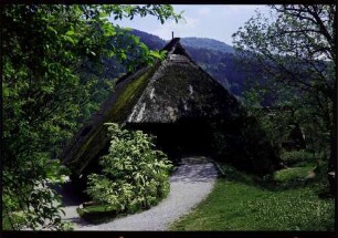 Gutach: Vogtsbauernhof, rückwärtige Scheuneneinfahrt