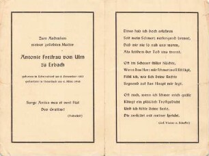 Ulm zu Erbach, Antoine (Freifrau von Ulm Erbach)