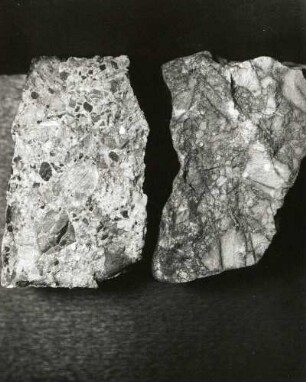 Konglomeratischer Sandstein. (Unterkarbon, Monumentenberg bei Groß Radisch) und Kieselschiefer-Hornstein-Konglomerat (Oberkambrium, Commerau/Spree)