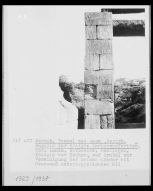 Königin Anchnes-Neferibrê vor Hathor