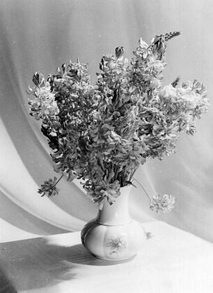 Diverse Blumen und Blüten. Blumenstrauß (Lupinen?) in einer bauchigen Vase