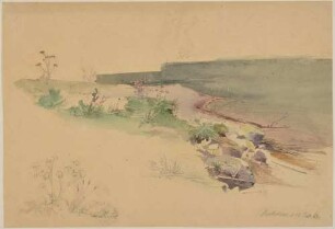 Studie vom Ufer des Kochelsees