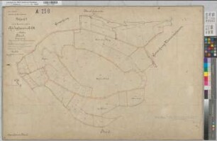 Assinghausen (Olsberg), Separation Assinghausen, Bl.5 Urkarte II Flur 5
