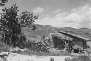Bei Bogotá (Lateinamerika-Aufenthalte 1934/1942 - 2. Kolumbien 1934-1937)