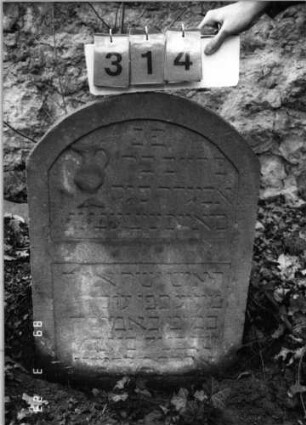 Grabstein 314 (Index: 99791704) Zustand: eingesunken, verwittert Maße HxBxT: 82x56x11 cm: Grabstein 314