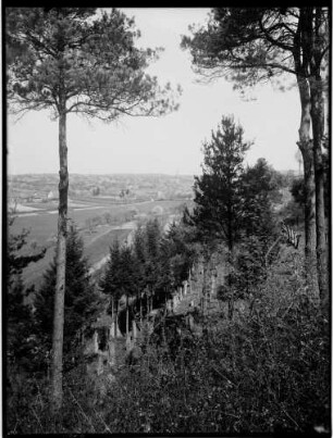 Oberöwisheim Judenfriedhof Gesamtansicht