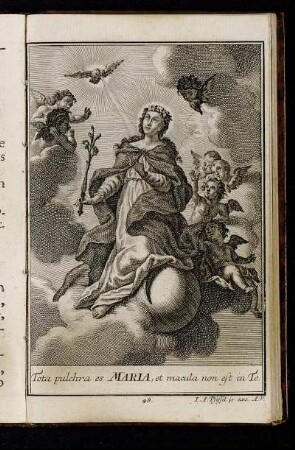Tota pulchra es Maria, et macula non est in Te.