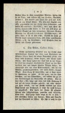 6. Der Biber, Castor fiber.