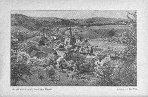 Gemischte Beiträge