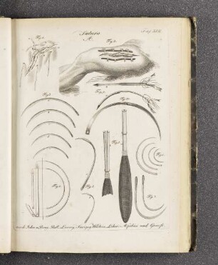 [Tafel XVIII. - Tafel XXV.]