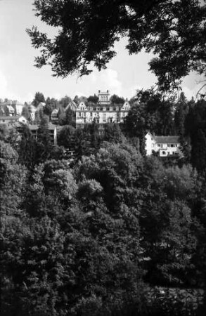 Baden-Baden: Bergschloss, von gegenüberliegender Talseite