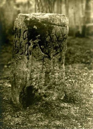 Hohenecken: Grenzstein im Reichswald Nr. 558 FI = foröªt imperial (1811)