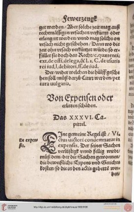 XXXVI. Capittel: Von Expensen oder erlitten schäden
