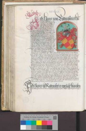 Hans von Rodenstein