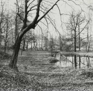 Schlosspark Steinbach
