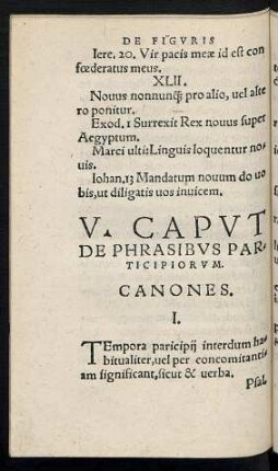 V. Caput De Phrasibus Participiorum.
