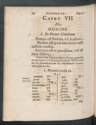 Caput VII. De Nomine