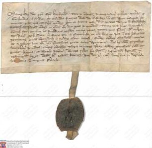 von Heusenstamm: Bischof Manegold von Würzburg