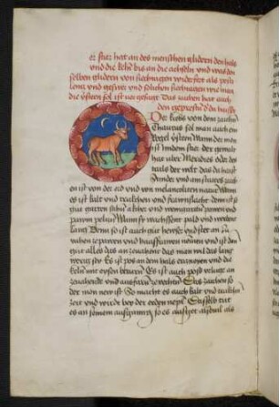 Sternbild: Stier (Taurus)