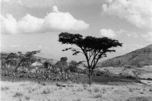 Kulturlandschaft nahe der Stadt Gamo (Äthiopienreise 1937/1938 - 3. Fahrt: von Addis Abeba nach Mogadischu und zurück)